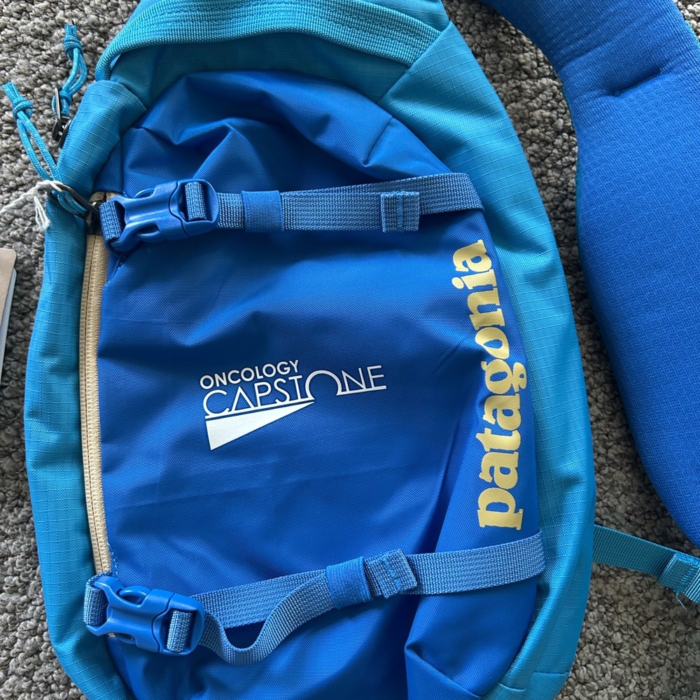 Patagonia Blue Backpack Lightweight and Collapsible - Picture 4 of 4